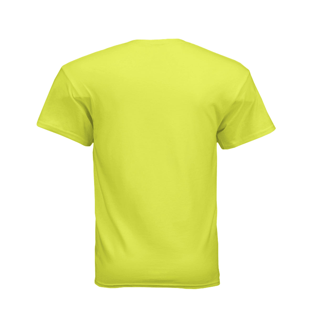 ndm:2497163